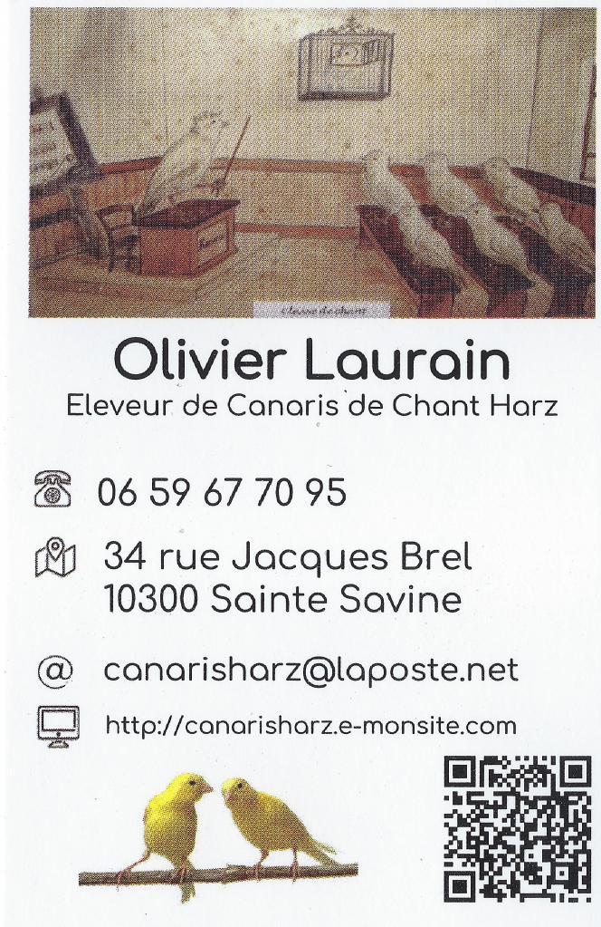 Carte de visite Version Paint